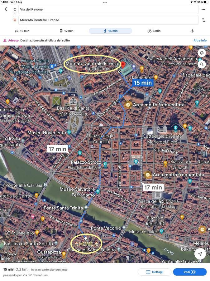 Uffizi & Santo Spirito Family/Groups Apartment Firenze Kültér fotó